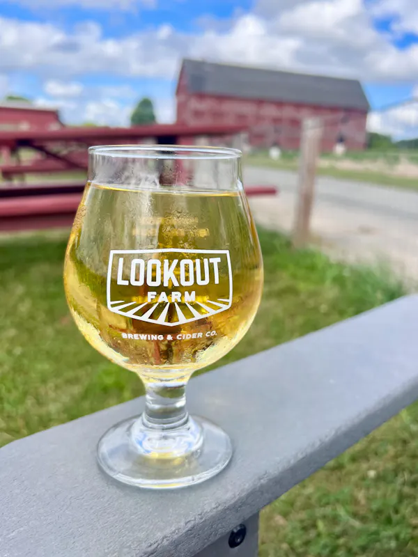 alcoholic drink, drinkware, beer, barware, alcohol, beer glassware