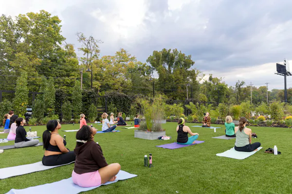 yoga, recreation, leisure, exercise, garden, people in nature