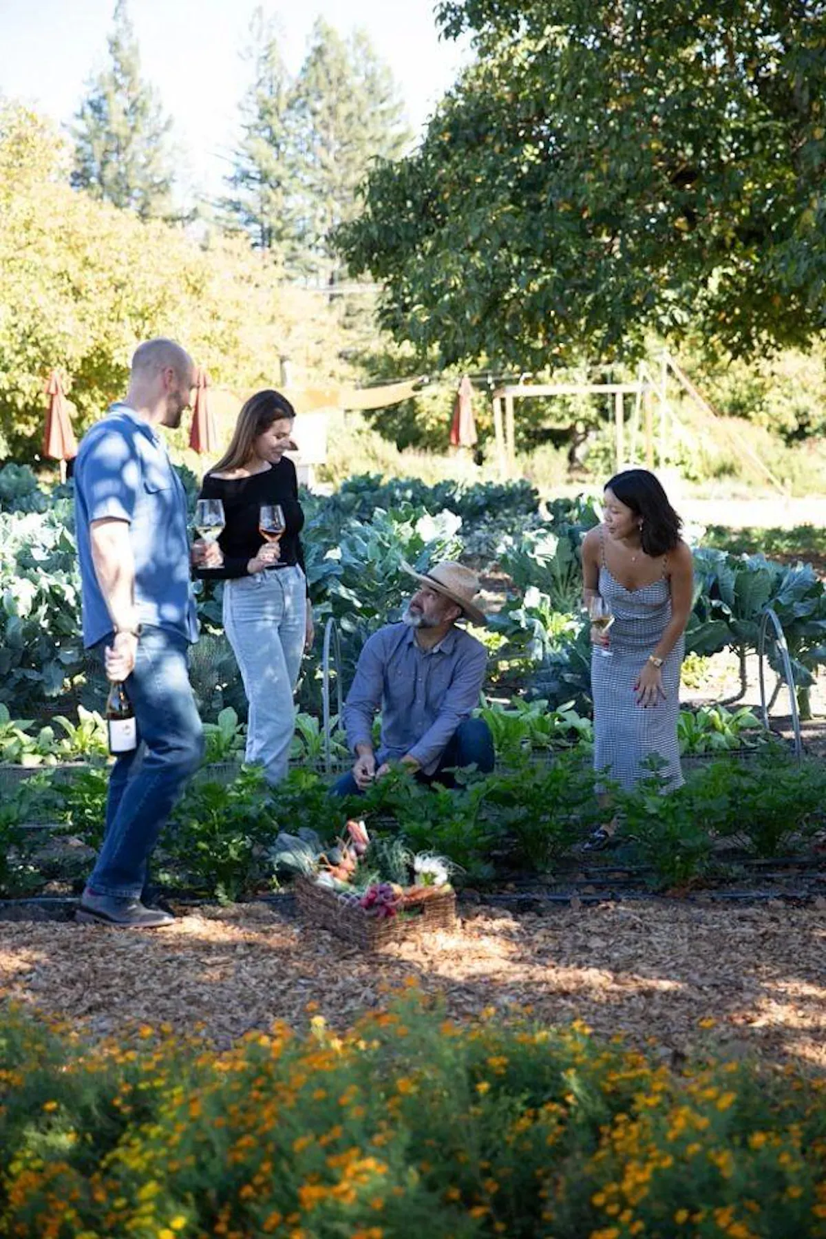 plants, shrub, garden, spring, groundcover, people in nature