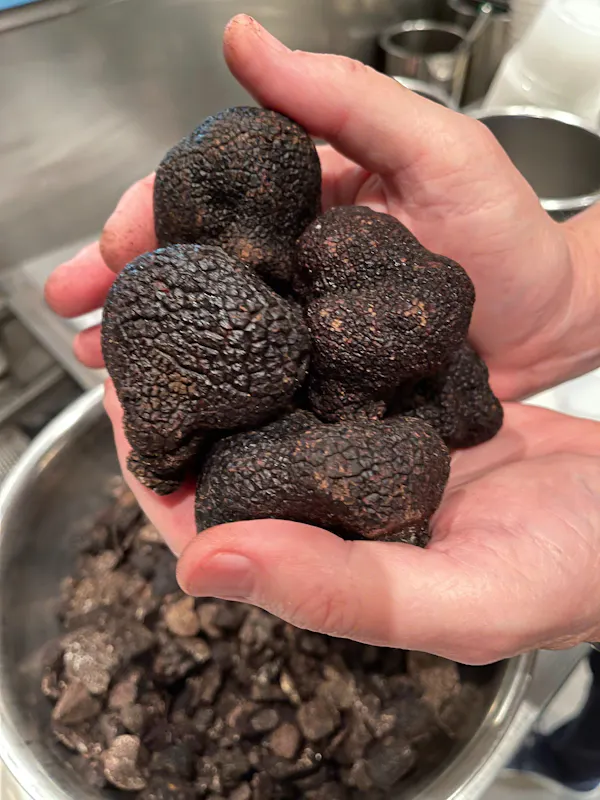 hand, plant, natural foods, ingredient, fruit, food