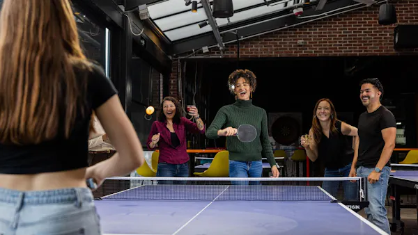 table tennis, racquet sport, table tennis racket, fun, leisure, recreation room