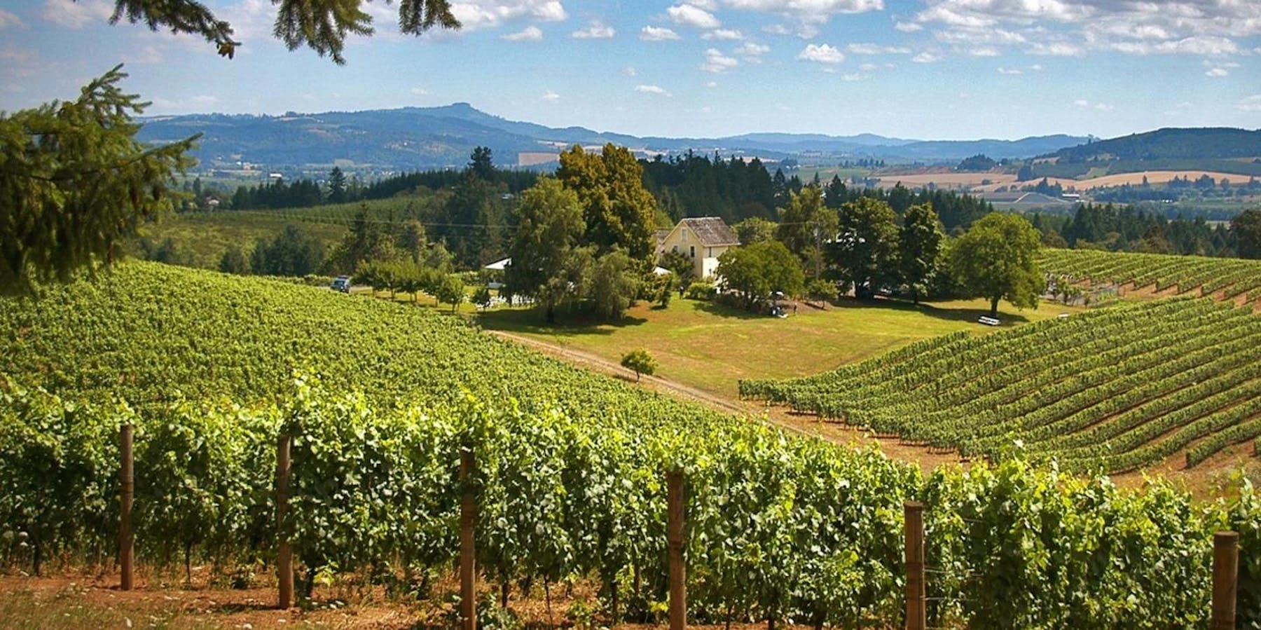 Noble Riot Wine Bar Denver, CO Tock