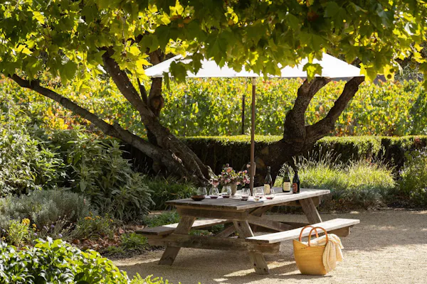 leaf, green, plants, furniture, outdoor furniture, garden