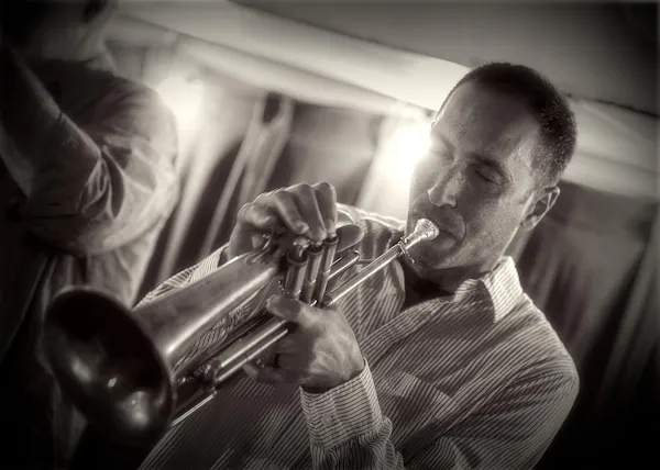 musical instrument, brass instrument, music, musician, entertainment, performing arts