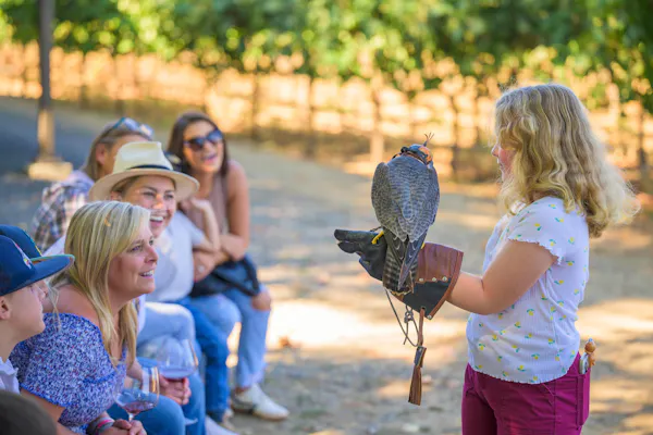 bird, recreation, leisure, people in nature, fun, sunglasses