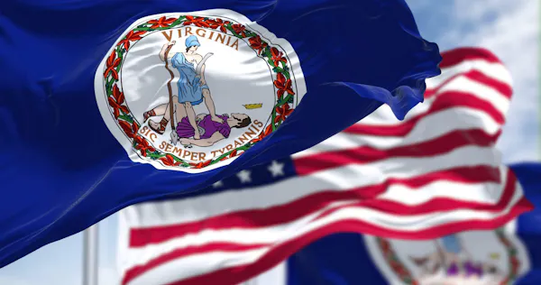 flag, flag of the united states, logo, pole, government, banner