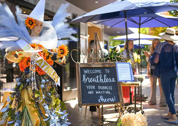 umbrella, costume, floral design, produce