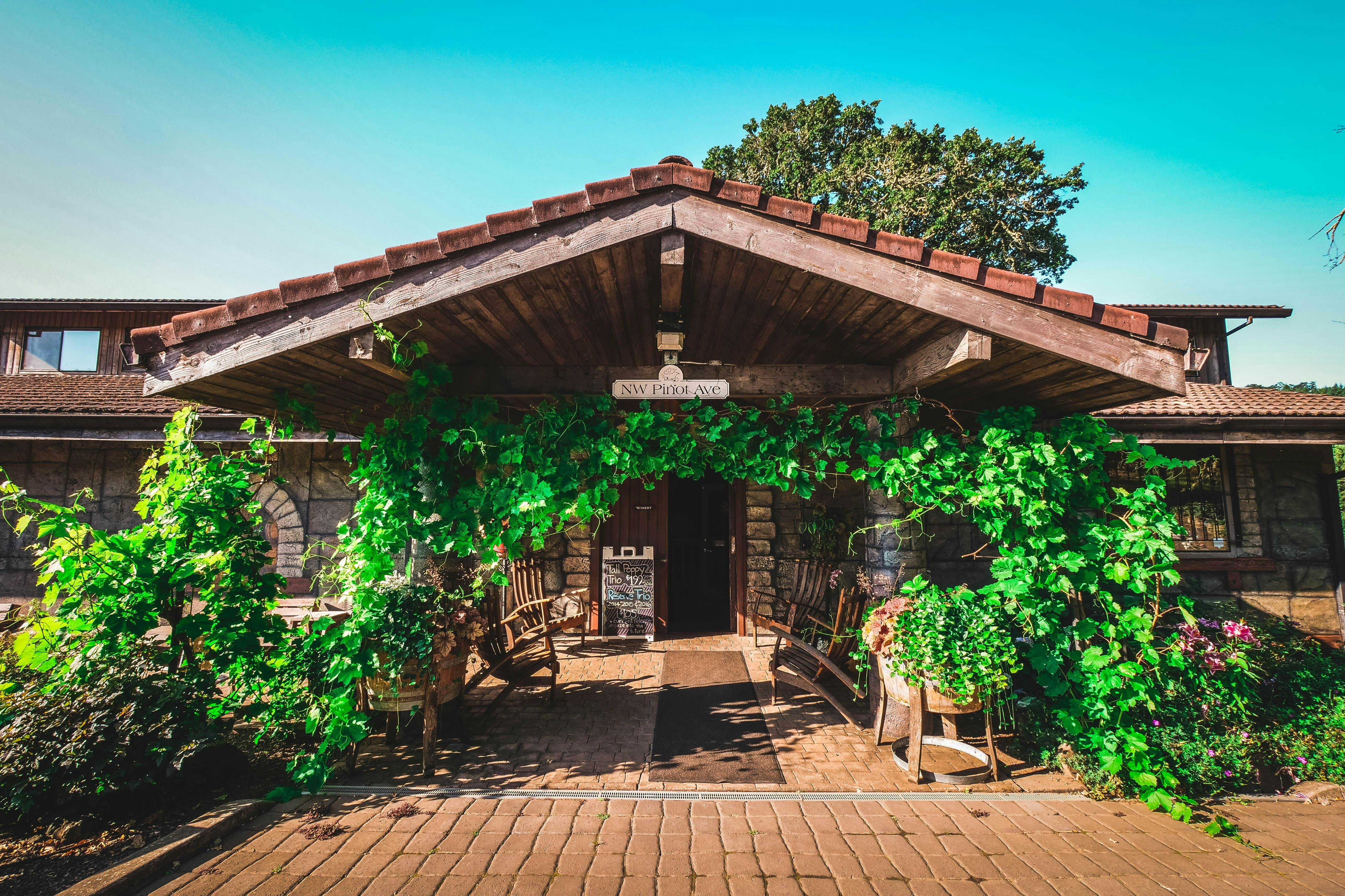 Yamhill Valley Vineyards