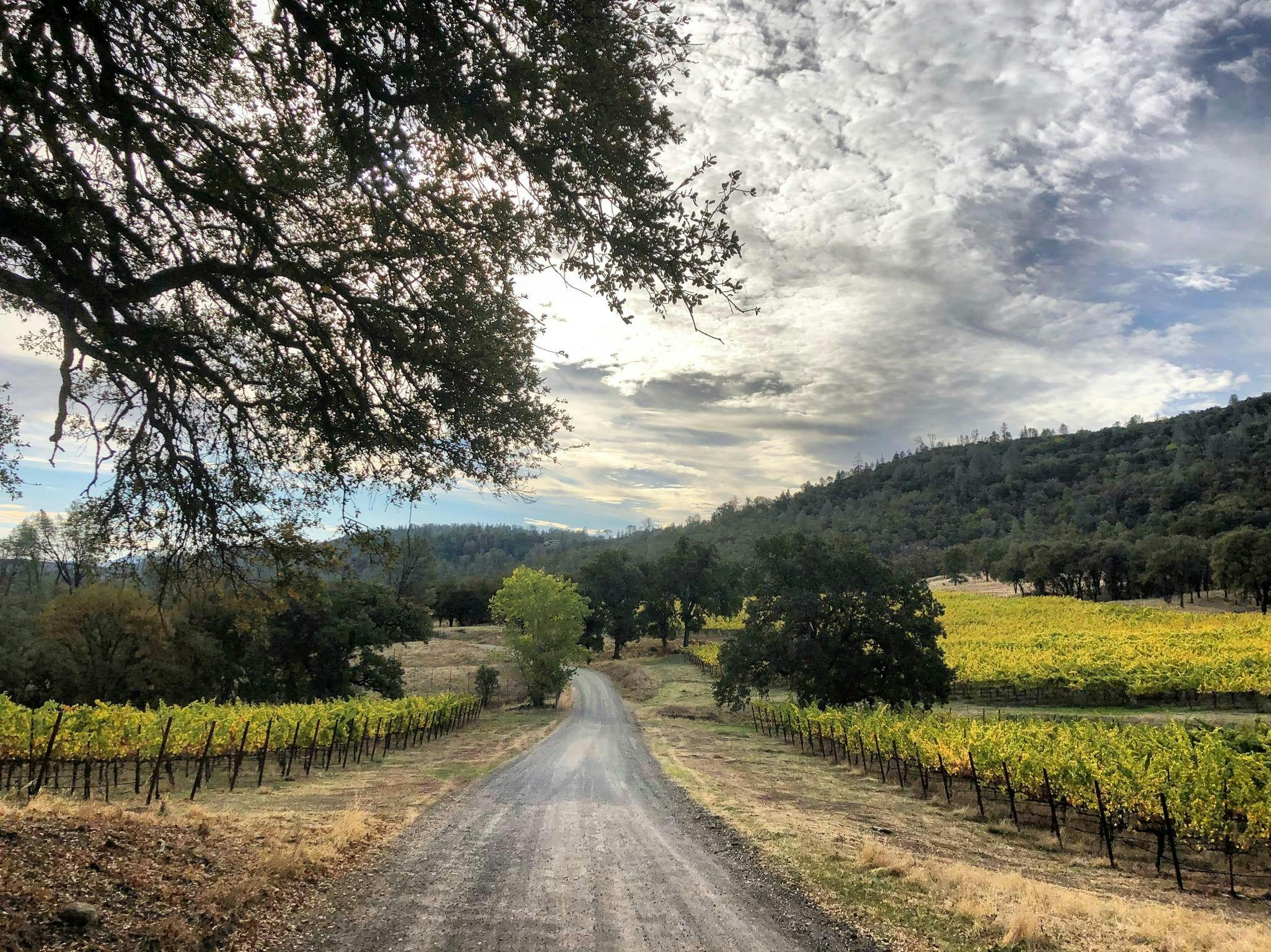 Six Sigma Ranch and Winery