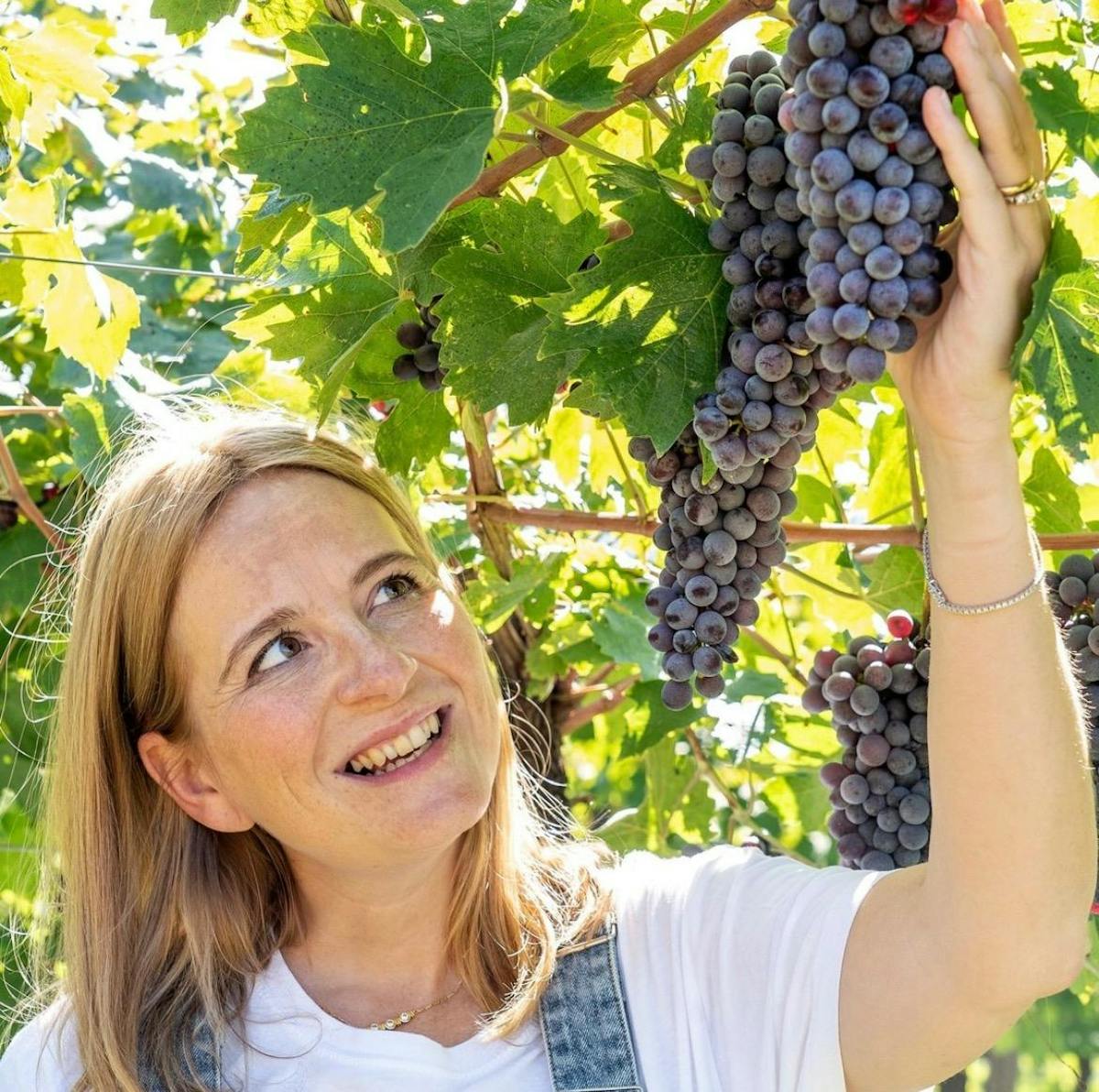 Table X Salt Lake City, UT Tock