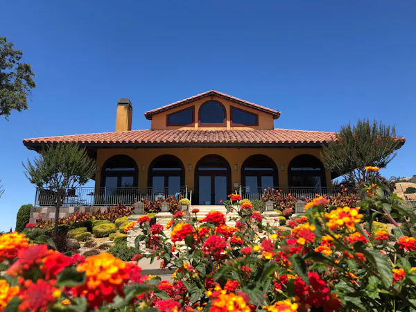 sky, flower, plant, building, window, house