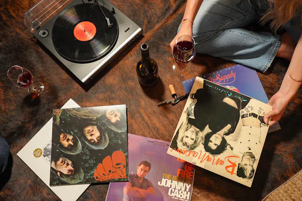 publication, phonograph record, book, electronics