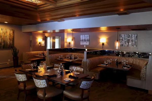 restaurant, room, property, building, lighting, table