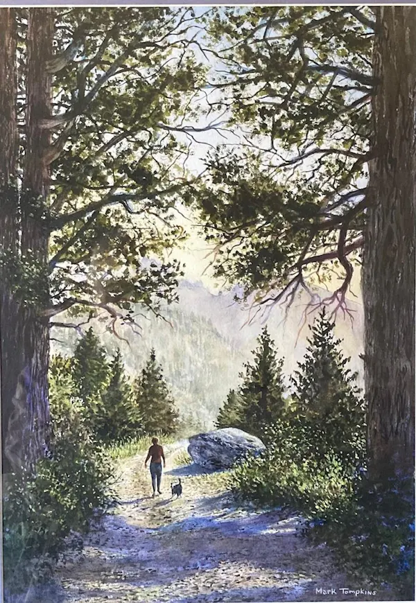 tree, nature, forest, wilderness, painting, spruce-fir forests