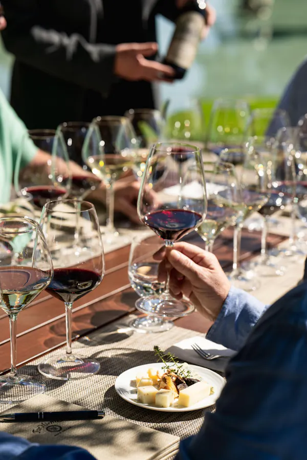 stemware, tableware, drinkware, wine glass, alcoholic drink, event