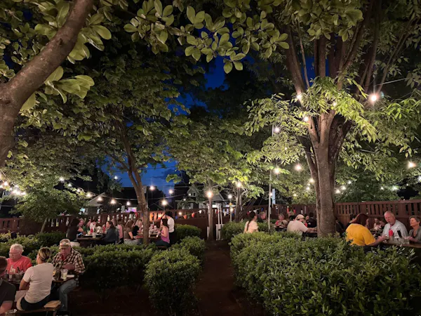 branch, night, spring, leisure, garden, midnight