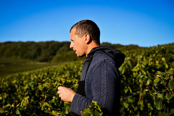 agriculture, people in nature, plantation, facial hair, beard, vineyard