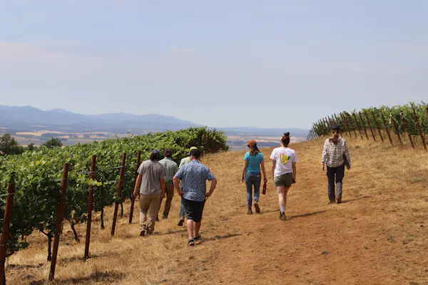 agriculture, plantation, soil, people in nature, field, hill station