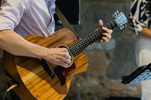 hand, musical instrument, guitar, musician, string instrument, string instrument