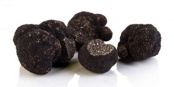 truffle, chocolate truffle, mushroom, rock