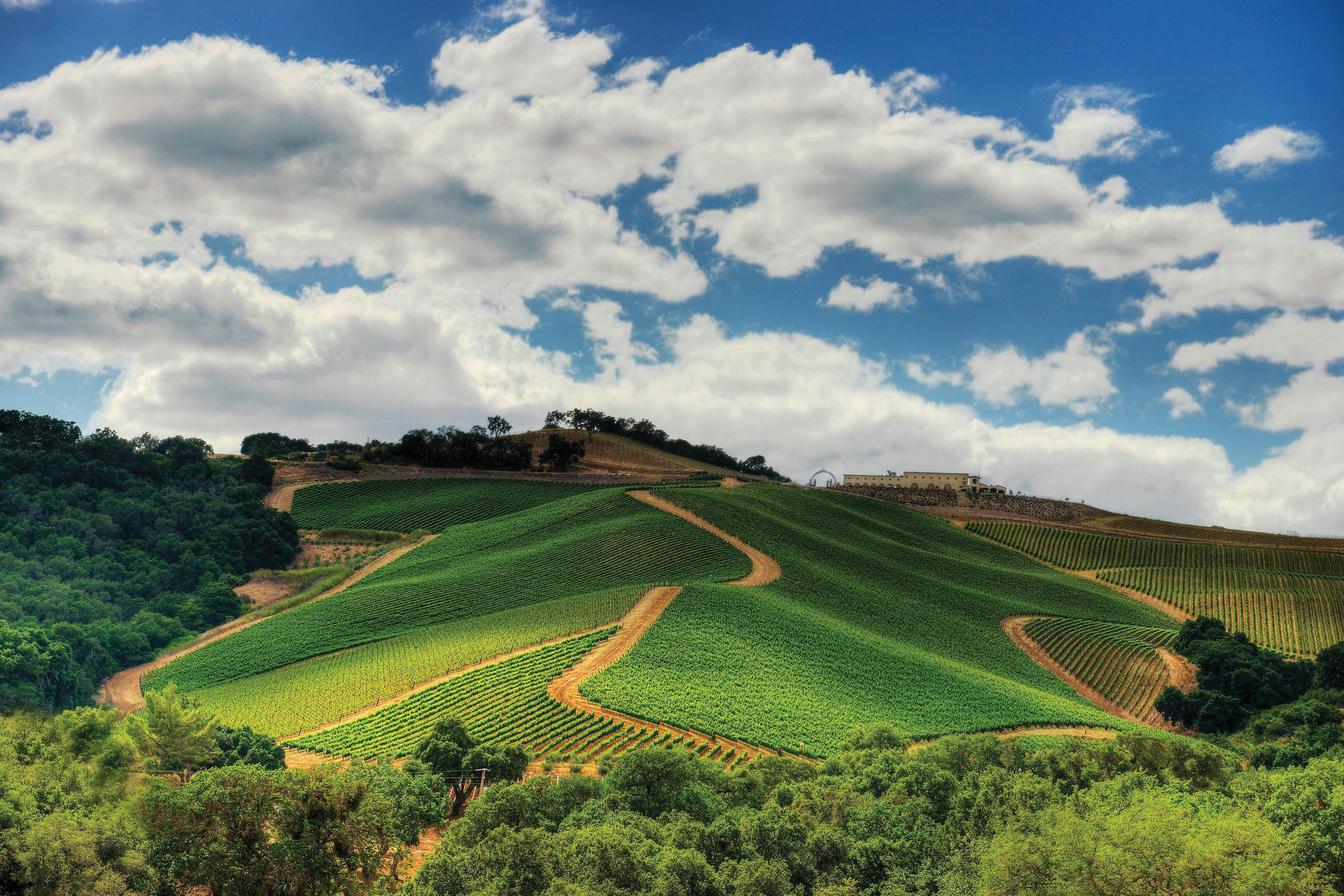 DAOU Family Estates