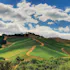 DAOU Vineyards
