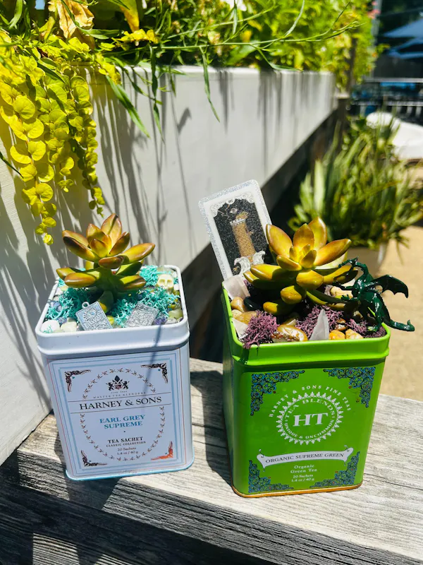 flowerpot, houseplant, succulent plant, floral design
