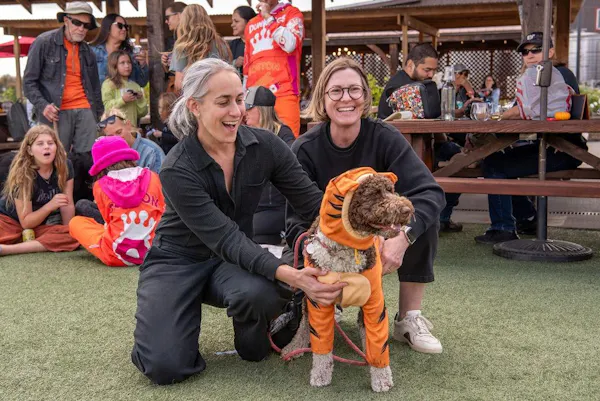 clothing, dog, smile, carnivores, fun, leisure