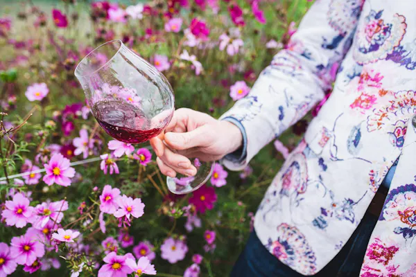 flower, petal, pink, spring, people in nature, blossom