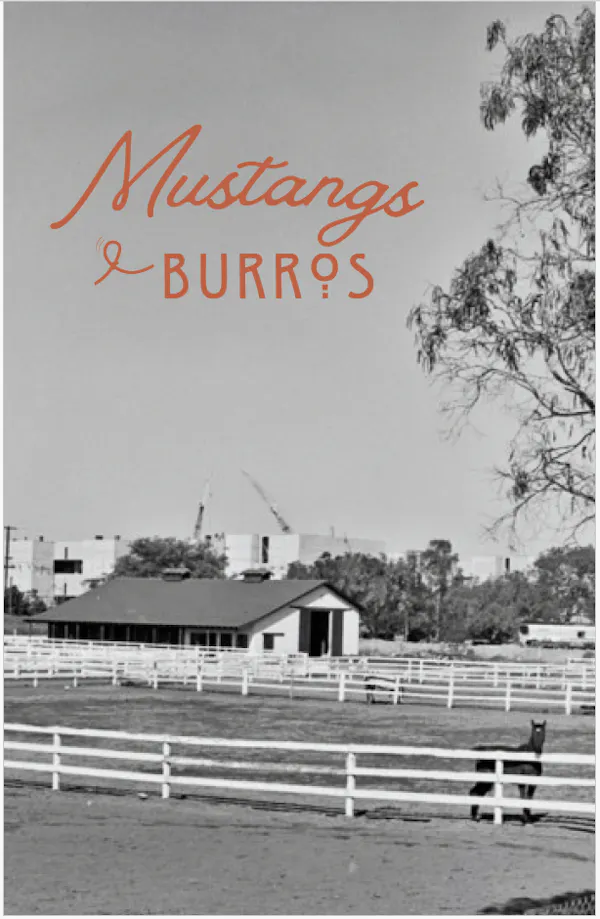 working animal, horse, poster, pack animal, advertising, livestock