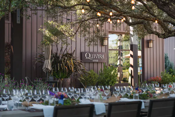 restaurant, tablecloth, rehearsal dinner, chair, garden, champagne glass