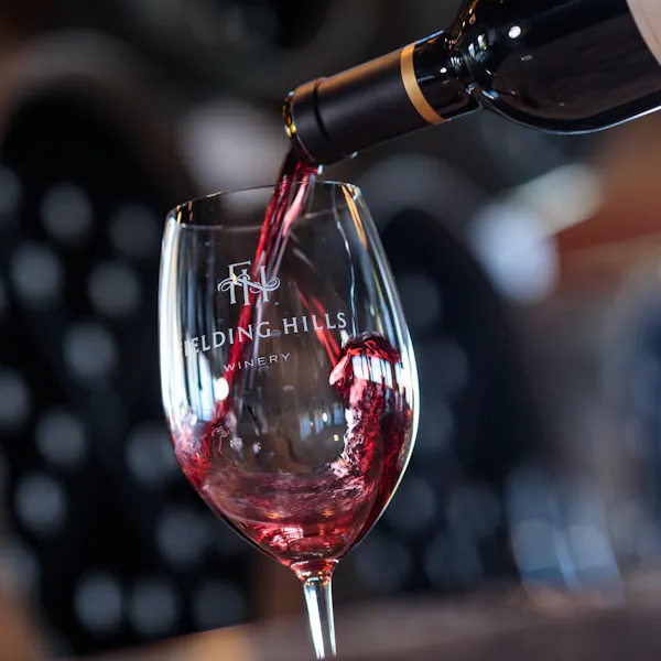 stemware, drinkware, tableware, wine glass, alcoholic drink, barware