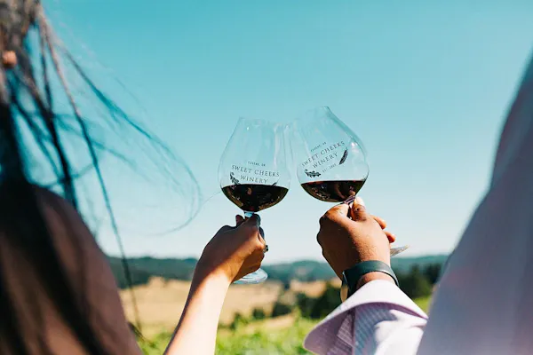stemware, tableware, wine glass, drinkware, alcoholic drink, wine