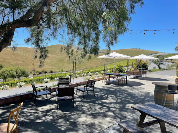 plant, sky, furniture, table, shade, tree