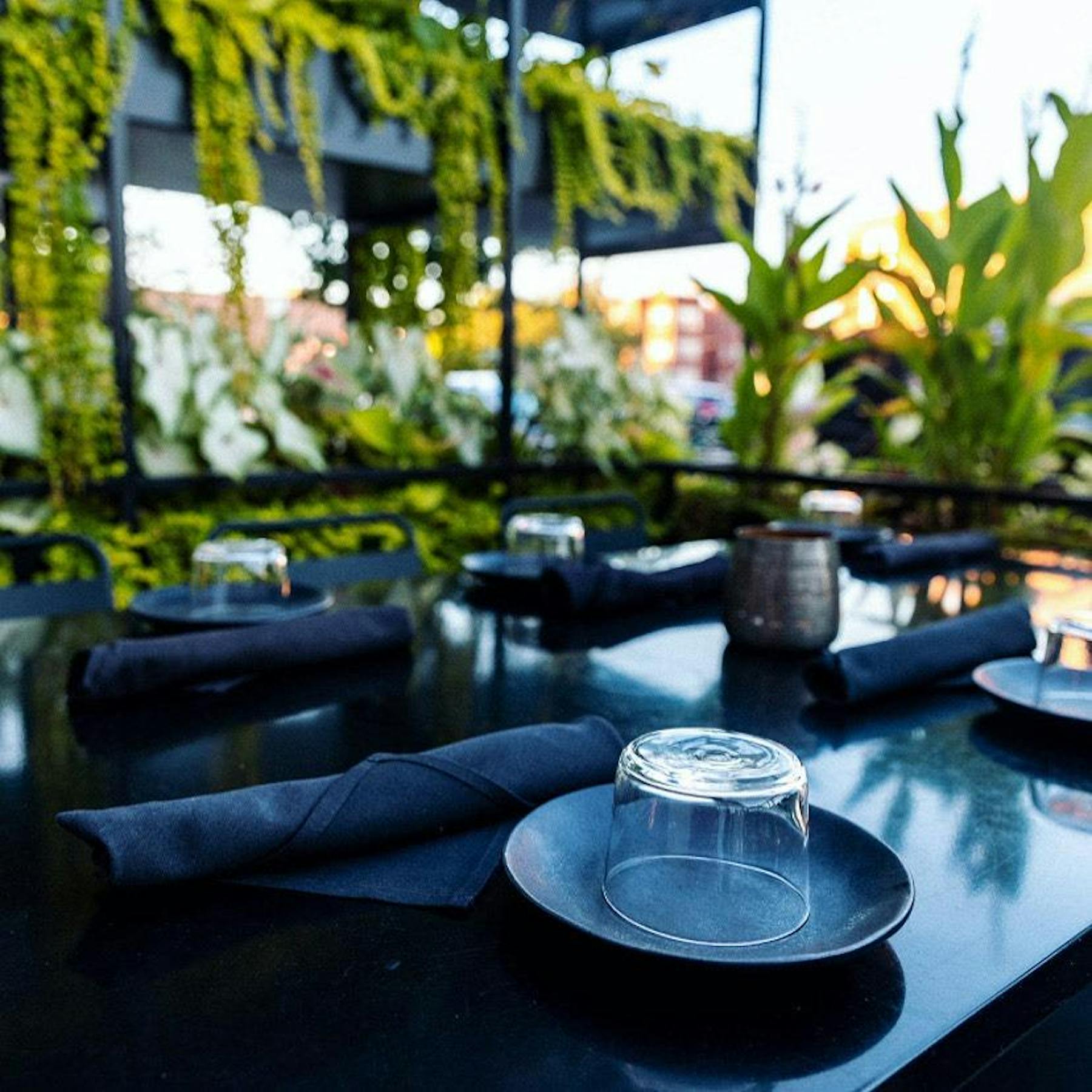 Bronzeville Winery Chicago, IL Tock