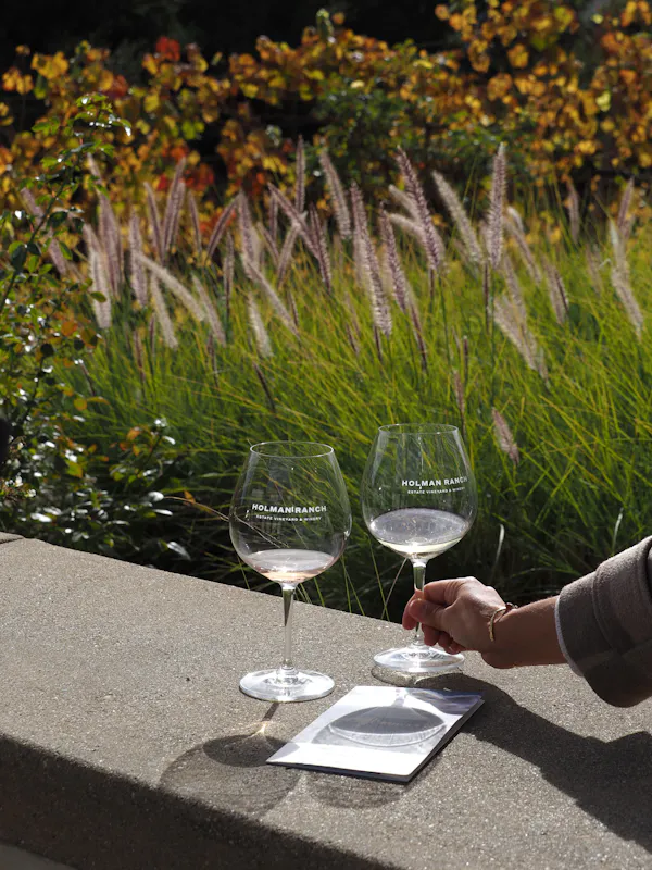 stemware, tableware, drinkware, wine glass, barware, champagne glass