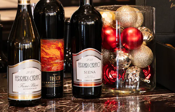 bottle, alcoholic drink, alcohol, glass bottle, liquid, wine