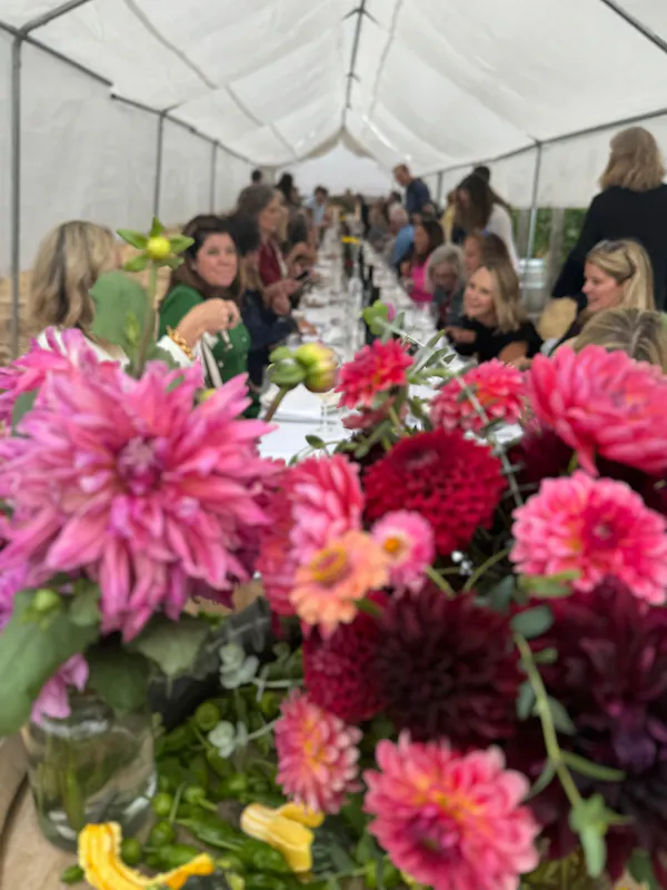 flower, floristry, petal, flower arranging, cut flowers, flower bouquet