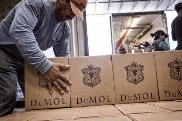 packaging and labeling, cardboard, box