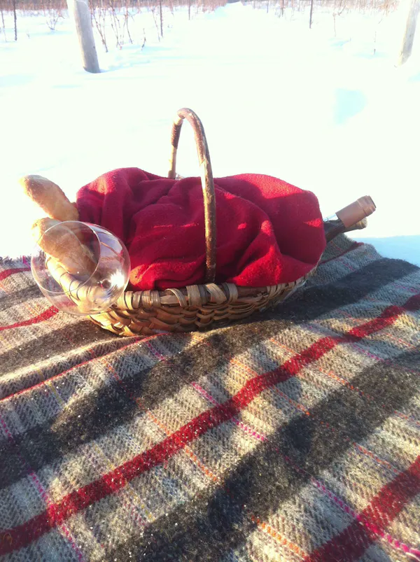 tartan, comfort, textile, wood, plaid, flooring