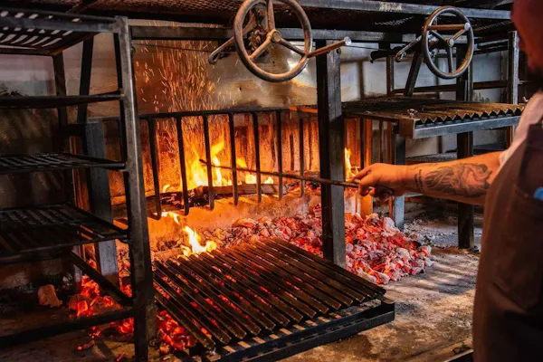 food, cooking, meat, barbecue, grilling, roasting