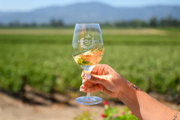 drinkware, liquid, plant, sky, stemware, tableware