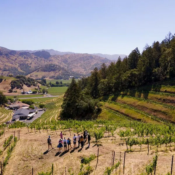 mountainous landforms, mountain, hill, highland, agriculture, plantation