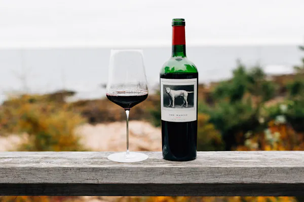 bottle, alcoholic drink, glass bottle, wine bottle, wine, alcohol