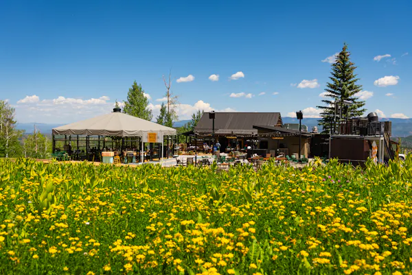 leisure, meadow, chair, umbrella, outdoor furniture, vacation