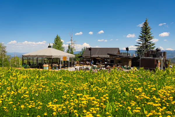 leisure, meadow, chair, umbrella, outdoor furniture, vacation