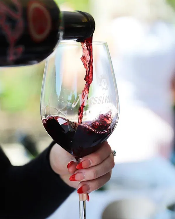 red, stemware, red wine, alcoholic drink, drinkware, wine glass