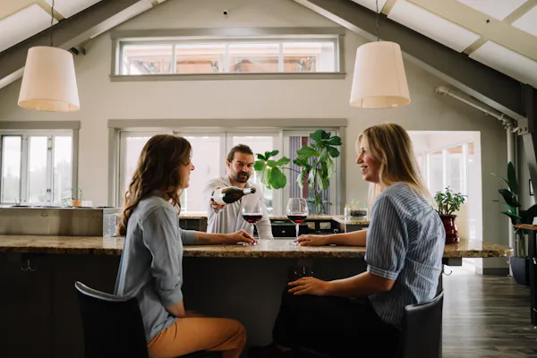 plant, furniture, houseplant, window, table, building