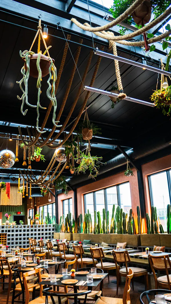 table, chair, tableware, plant, electricity, event