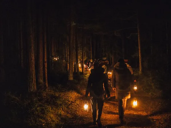 night, darkness, forest, midnight, recreation, fire